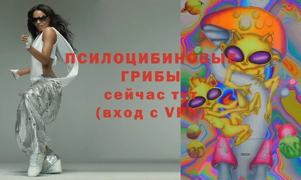 молекула духа Балахна