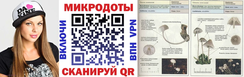 Псилоцибиновые грибы ЛСД  Купить  Лагань 